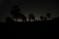 DSC_0035.jpg