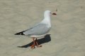 DSC_0006.jpg