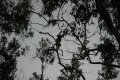 DSC_0105.jpg