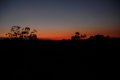 DSC_0197.jpg