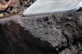 DSC_0235.jpg