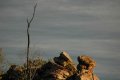 DSC_0462.jpg