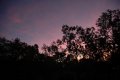 DSC_0486.jpg