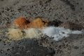 DSC_0074.JPG