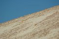 DSC_0083.JPG
