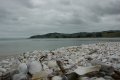 DSC_0016.JPG