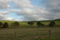 DSC_0031.JPG