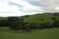DSC_0034.JPG
