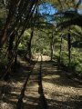 DSC_0210.JPG
