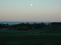 DSC_0219.JPG