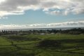DSC_0224.JPG