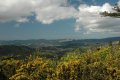 DSC_0122.JPG