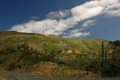DSC_0129.JPG