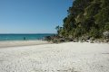 DSC_0130.JPG