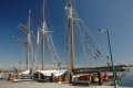 DSC_0003.jpg