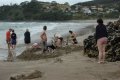 DSC_0079.JPG