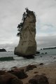 DSC_0114.JPG