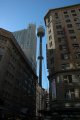 DSC_0020.jpg