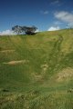 DSC_0009.JPG