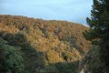 DSC_0093.JPG