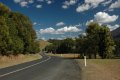 DSC_0081.jpg