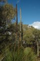 DSC_0111.jpg